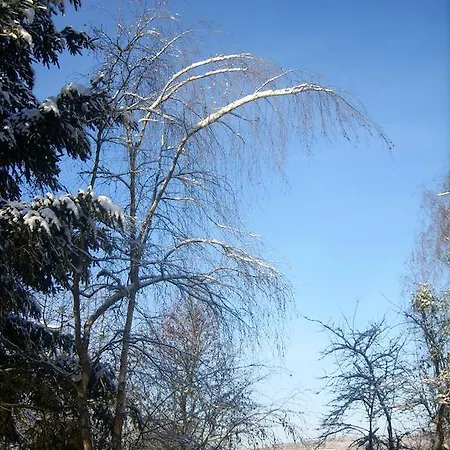 Ambroisie